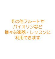 その他フルートやバイオリンなど様々な楽器・レッスンに利用できます