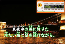 カラオケプレーヤー（VIMA TUNES PLAYER）イメージ